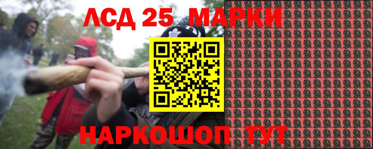 где купить   Наркотические марки 1,8мг  Вход с VPN  Лосино-Петровский  Наркотические марки 1,8мг 