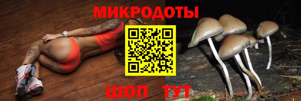 Псилоцибиновые грибы GOLDEN TEACHER Лосино-Петровский