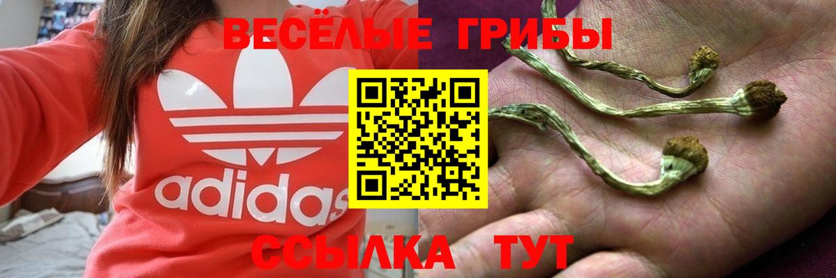 Галлюциногенные грибы ЛСД  Вход с VPN  Лосино-Петровский  Псилоцибиновые грибы Psilocybe 